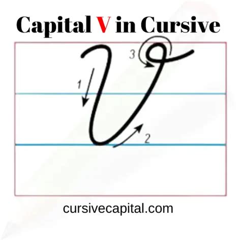 capital c cursive|cursive v in a word.